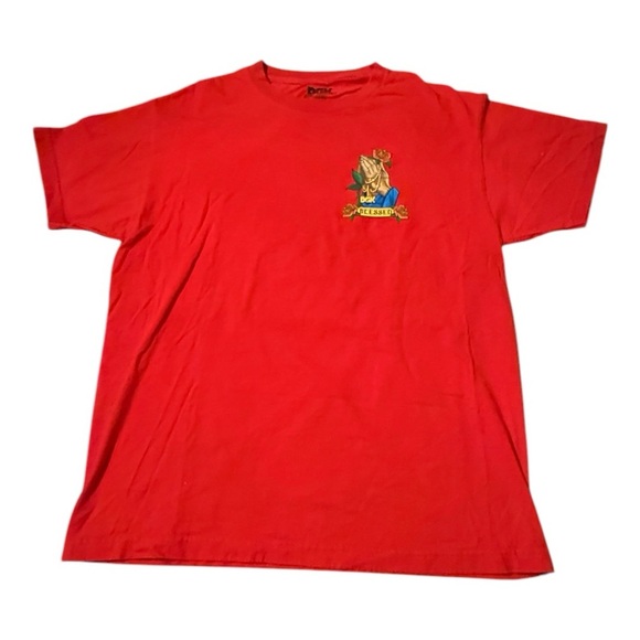 DGK ILLUMINATE T-SHIRT in RED - Picture 4 of 6
